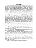 Sáng kiến kinh nghiệm, SKKN - Hướng dẫn học sinh lớp 10 sử dụng nhân liên hợp để giải phương trình vô tỉ