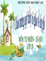 Bài giảng điện tử lớp 1