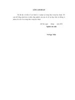 Cấu trúc sở hữu và hiệu quả hoạt động của các doanh nghiệp có vốn nhà nước đầu tư tại việt nam 