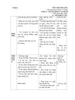 Giáo án phụ tuần 19 Thế giới thực vật