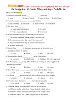 Đề thi thử học kì 1 môn Tiếng Anh lớp 11 cơ bản | Tiếng Anh, Lớp 11 - Ôn Luyện