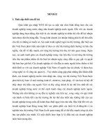 Phát triển thị trường của Công ty cổ phần đầu tư thế giới di động