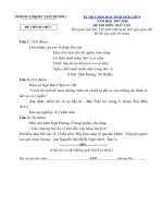 Đề thi HSG ngữ văn lớp 9 năm học 2017 – 2018 huyện Tam Dương có đáp án