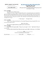 Đề thi giao lưu HSG ngữ văn lớp 8 năm học 2016 – 2017 huyện Tam Dương có đáp án