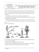 Đề thi thử có đáp án chi tiết kỳ thi THPT quốc gia môn sinh theo cấu trúc mới mã 24 | Đề thi đại học, Sinh học - Ôn Luyện