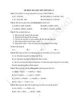 Đề kiểm tra 1 tiết môn hóa học lớp 11 của lý trân phúc | Lớp 11, Hóa học - Ôn Luyện