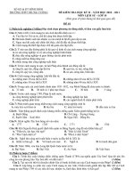 Đề kiểm tra học kì 2 có đáp án môn lịch sử lớp 10 năm 2010 trường thpt trưng vương mã 1 | Lớp 10, Lịch sử - Ôn Luyện