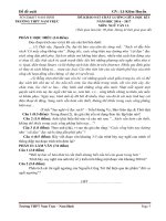 Đề thi thử giữa học kì 1 môn Văn lớp 11 THPT Nam Trực - Đề 1 | Ngữ văn, Lớp 11 - Ôn Luyện