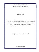 luận văn thạc sĩ quản trị rủi ro tín dụng trong cho vay tiêu dùng tại ngân hàng TMCP công thương việt nam   chi nhánh đông hải dương 