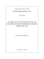 Tác động các yếu tố văn hóa đến cầu của người tiêu dùng đối với nhóm hàng tiêu dùng nhanh tại việt nam 