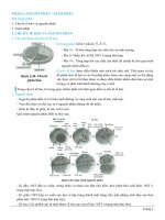 Lý thuyết về nguyên phân giảm phân môn sinh học lớp 10 | Lớp 10, Sinh học - Ôn Luyện