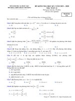 Đề kiểm tra học kì 1 môn Toán lớp 11 năm học 2019-2020 – Trường THPT Đoàn Thượng Mã đề 132)