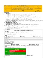 Giáo án sinh 12  cđ 7  sinh thái học 