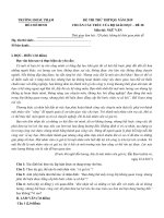 Đề thi văn thpt quốc gia 2019 số 28 - ĐH Sư phạm TPHCM | Ngữ văn, Đề thi đại học - Ôn Luyện