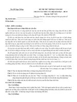 Đề thi thử văn thpt quốc gia 2019 - Thạc Sỹ Đỗ Ngọc Thống - Đề 23 | Ngữ văn, Đề thi đại học - Ôn Luyện