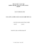 Tóm tắt luận án Tiến sĩ Kinh tế: Năng suất lao động trong doanh nghiệp Việt Nam