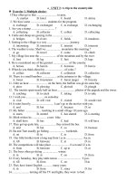 Bài tập trắc nghiệm unit 3 a trip to the countryside môn tiếng anh lớp 9 | Tiếng Anh, Lớp 9 - Ôn Luyện