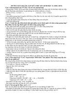 Đề thi giữa học kì 1 môn Sinh lớp 11 có đáp án chi tiết | Lớp 11, Sinh học - Ôn Luyện