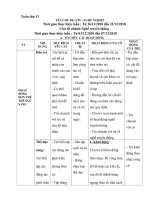 13 giáo an tuần 13