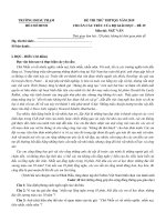 Đề thi văn thpt quốc gia 2019 số 29 - ĐH Sư phạm TPHCM | Ngữ văn, Đề thi đại học - Ôn Luyện