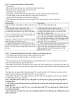 Bài tập có đấp sn chi tiết về nguyên phân giảm phân môn sinh học lớp 10 | Lớp 10, Sinh học - Ôn Luyện