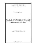 luận văn thạc sĩ quản lý rủi ro tín dụng cho vay khách hàng cá nhân tại ngân hàng thương mại cổ phần nam á   chi nhánh quảng ninh 