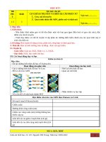 Giáo án sinh 12  cđ 1  cơ chế di truyền và biến dị (1) 