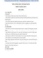 Đề cương ôn tập HK2 môn Toán 9 năm 2019-2020 - Gia sư Hà Nội