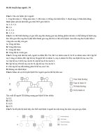 Bài tập có đáp án chi tiết về di truyền học người luyện thi THPT quốc gia phần 1 | Lớp 12, Sinh học - Ôn Luyện