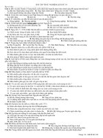 Bài tập trắc nghiệm ôn tập học kì 2 môn lịch sử lớp 10 | Lớp 10, Lịch sử - Ôn Luyện