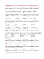 Đề thi thử thpt quốc gia có đáp án chi tiết môn hóa học năm 2017 trường thpt chuyên nguyễn bỉnh khiêm quảng nam lần 1 | Đề thi đại học, Hóa học - Ôn Luyện