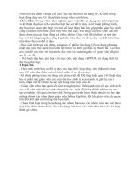 Phân tích ưu điểm và hạn chế của việc lựa chọn và sử dụng PP 