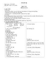 GIÁO ÁN 1 TUẦN 16 - 2016 - 2017