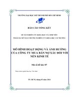 mô hình hoạt động và ảnh hưởng của công ty mua bán nợ xấu đối với nền kinh tế 