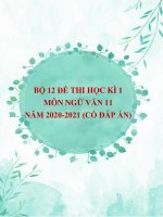 Bộ 12 đề thi học kì 1 môn Ngữ văn 11 năm 2020-2021 (Có đáp án)