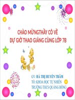 Sinh 7- Tiết 51: Bộ dơi-Bộ cá voi : Trường THCS Quảng Đông