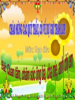 Đạo đức - Bài 4: quan tâm chăm sóc ông bà