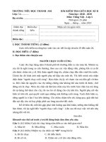 Đề kiểm tra môn Tiếng Việt giữa học kì 2 khối 5