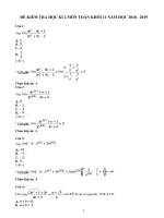 Đề kiểm tra học kì 2 môn toán đại số lớp 11 năm 2018 | Toán học, Lớp 11 - Ôn Luyện