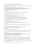 Bài tập có đáp án chi tiết về quốc gia phong kiến môn lịch sử lớp 10 | Lớp 10, Lịch sử - Ôn Luyện