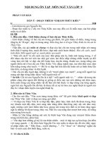 NỘI DUNG ÔN TẬP  MÔN NGỮ VĂN LỚP  9