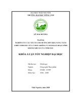 (Khóa luận tốt nghiệp) Nghiên cứu các yếu tố ảnh hưởng đến khả năng tách chiết tinh dầu từ lá Trầu không và đánh giá hoạt tính kháng khuẩn của tinh dầu