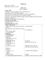 GIÁO ÁN 1 TUẦN 12 - 2016 - 2017