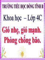 Gió nhẹ gió mạnh. Phòng chống bão