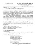 Đề kiểm tra chất lượng khối c d môn ngữ văn lớp 11 năm 2016 trường thpt ngô thì nhậm | Ngữ văn, Lớp 11 - Ôn Luyện