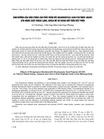 ẢNH HƯỞNG CỦA BÓN PHÂN LÂN PHỐI TRỘN VỚI DICARBOXYLIC ACID POLYMER (DCAP) LÊN NĂNG SUẤT KHOAI LANG, KHOAI MÌ VÀ KHOAI MỠ TRÊN ĐẤT PHÈN