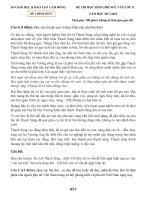 Đề thi học sinh giỏi môn ngữ văn lớp 11 năm 2017 sở GDĐT lâm đồng | Ngữ văn, Lớp 11 - Ôn Luyện