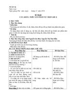 giáo án kĩ thuật lớp 4 tuần 16