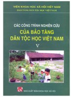 Các công trình nghiên cứu của Bảo tàng dân tộc học Việt Nam (V)