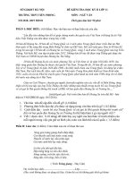 Đề kiểm tra học kì 2 môn ngữ văn lớp 11 năm 2018 trường thpt tiền phong mã 1 | Ngữ văn, Lớp 11 - Ôn Luyện